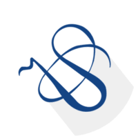 Sarv Workspace logo